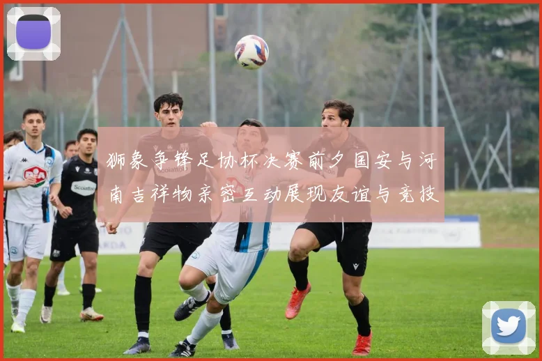 狮象争锋足协杯决赛前夕国安与河南吉祥物亲密互动展现友谊与竞技精神