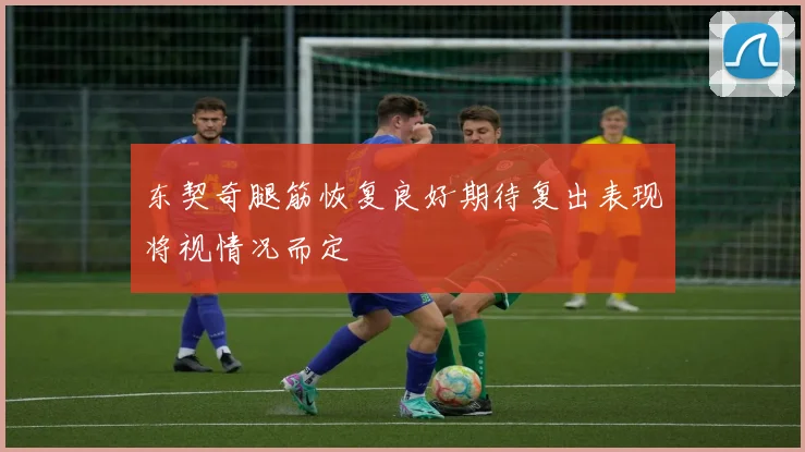 东契奇腿筋恢复良好期待复出表现将视情况而定