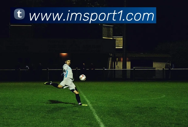 IM足球体育平台生态图