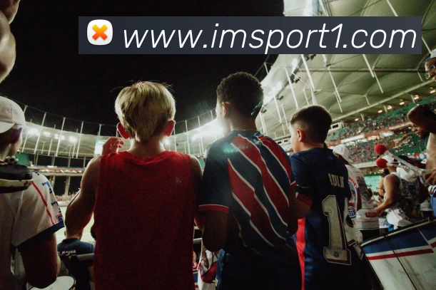 IM足球体育全站App